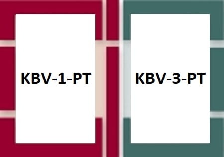 B2_1_EBV_PT.jpg