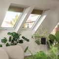 Okno dachowe FAKRO PTP-X P50 ABMX 55x78 GREENVIEW