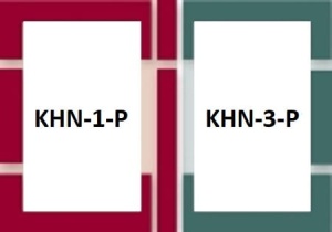 Zespolenie kołnierzy EHN-P typu B2/1 55x78